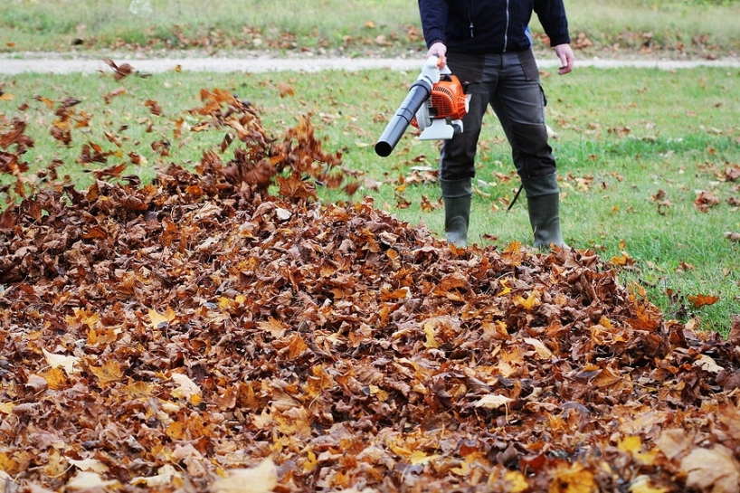 How to Use a Leaf Blower Effectively - Mylek