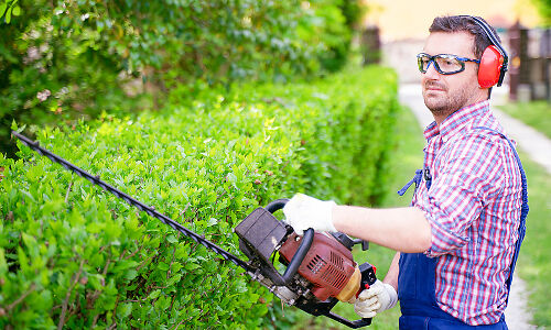 Hedge Trimmer